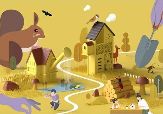 Image de la Ville-Nature